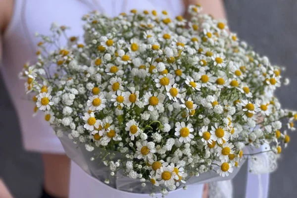 Какие цветы подарить дочери: по возрасту и поводу