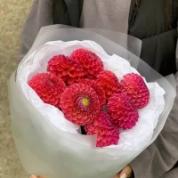 Букет из 9 георгин