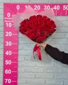 Букет 35 роз Кения 40 см в пленке красные