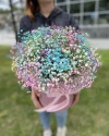 Гипсофила радужная в коробочке