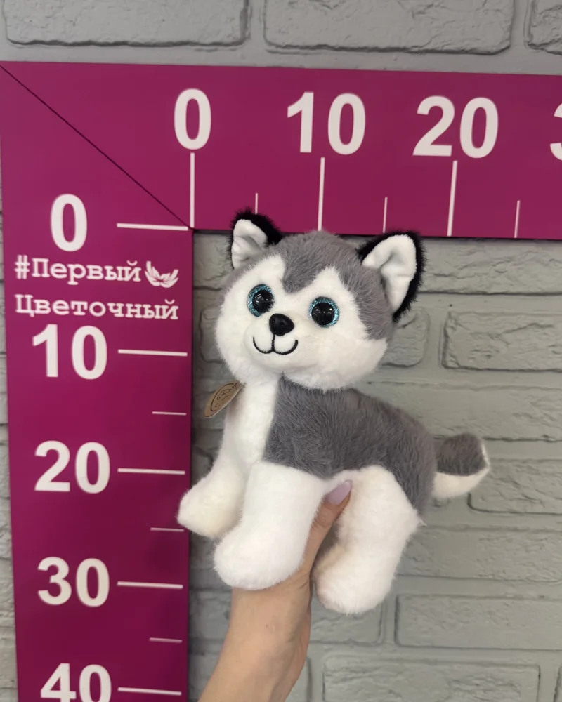 Собачка хаски