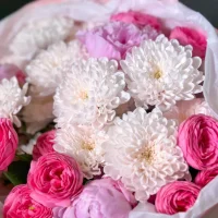 Легкость с пионами