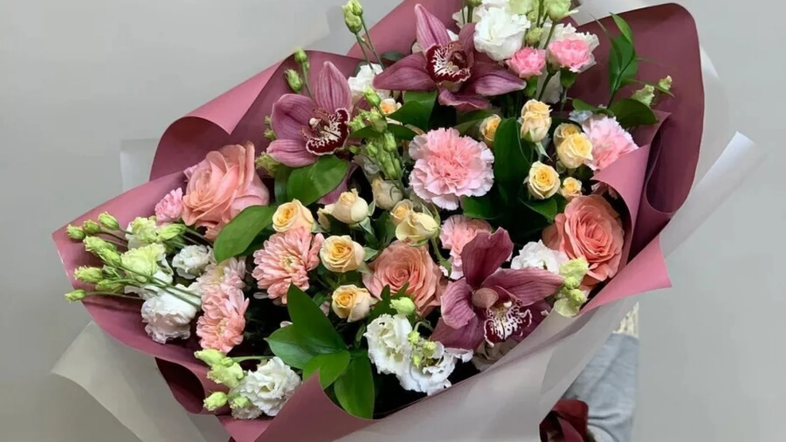 Какие цветы можно ставить в доме с кошкой и собакой